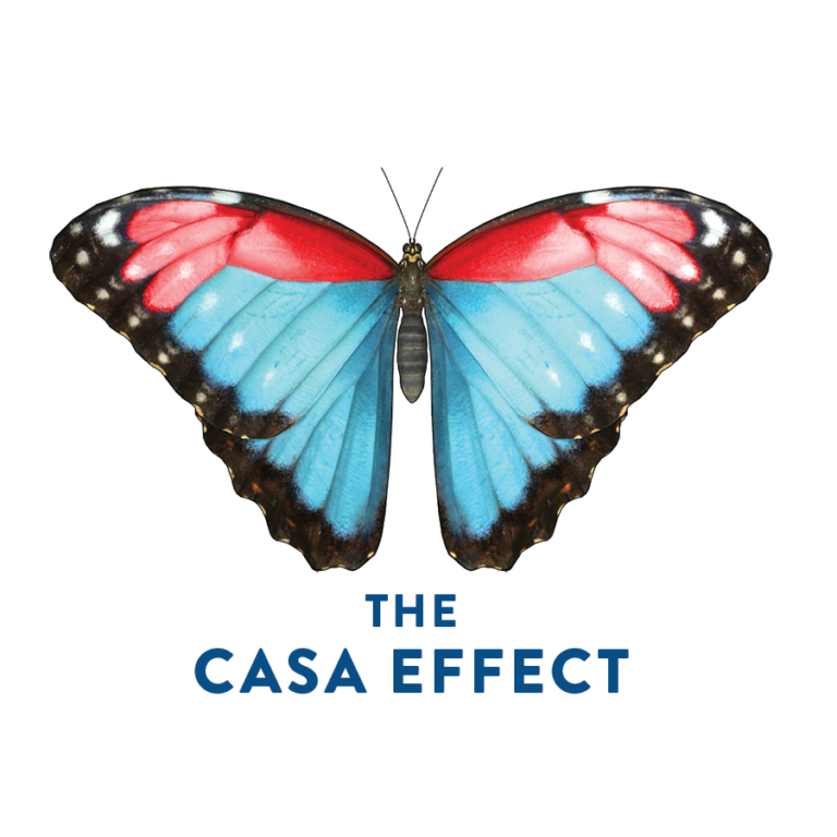 The CASA Effect Butterfly Sticker